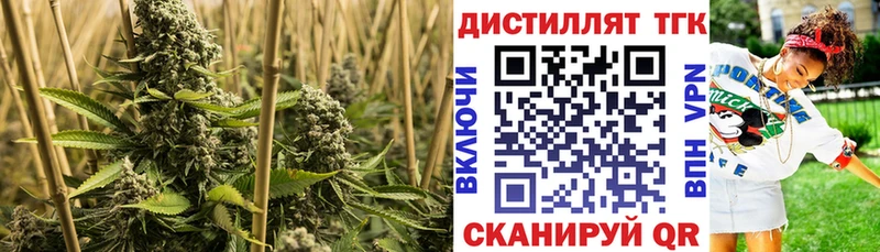 ТГК THC oil Дзержинский